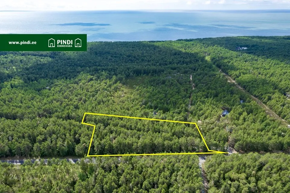 Земля жилой застройки, 10684 m² участок в Lääne-Nigula vald, Elbiku küla / Ölbäck