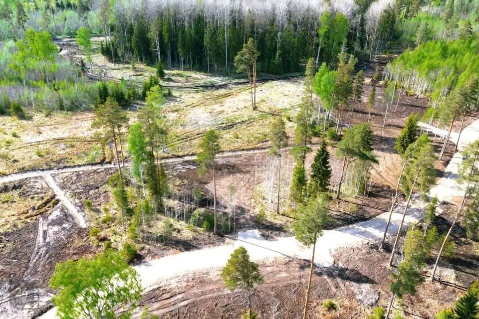 Elamumaa, 9199 m² Maa  -  Kose vald, Tuhala küla - foto 5