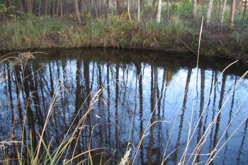 Elamumaa, 7588 m² Maa  -  Hiiumaa vald, Luguse küla - foto 4