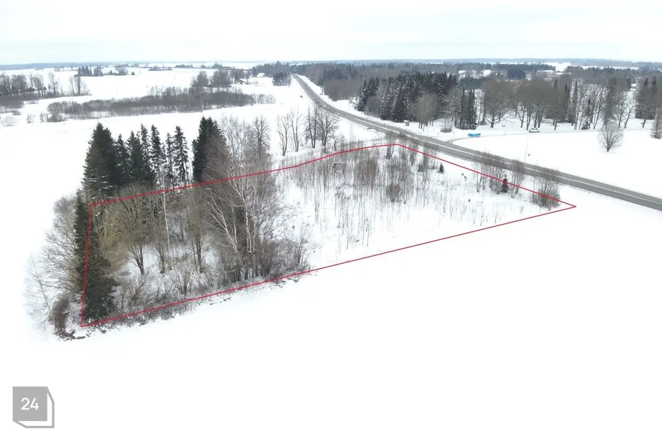 Земля жилой застройки участок в Järva vald, Koigi küla - фото 3