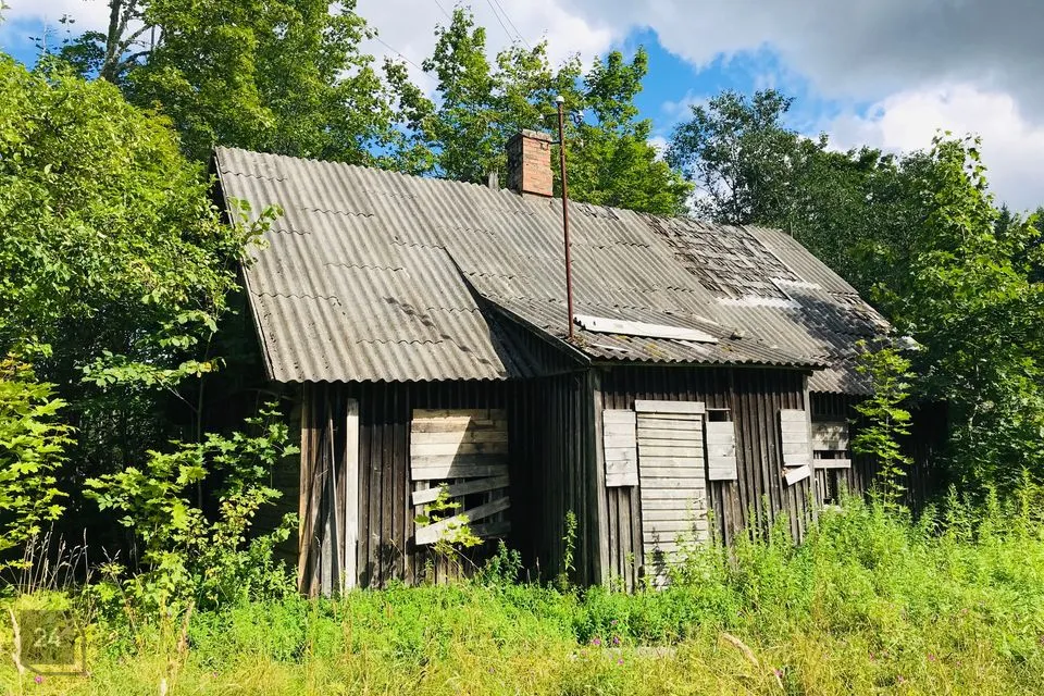Maatulundusmaa, 37484 m² Maa  -  Türi vald, Rassi küla - foto 2
