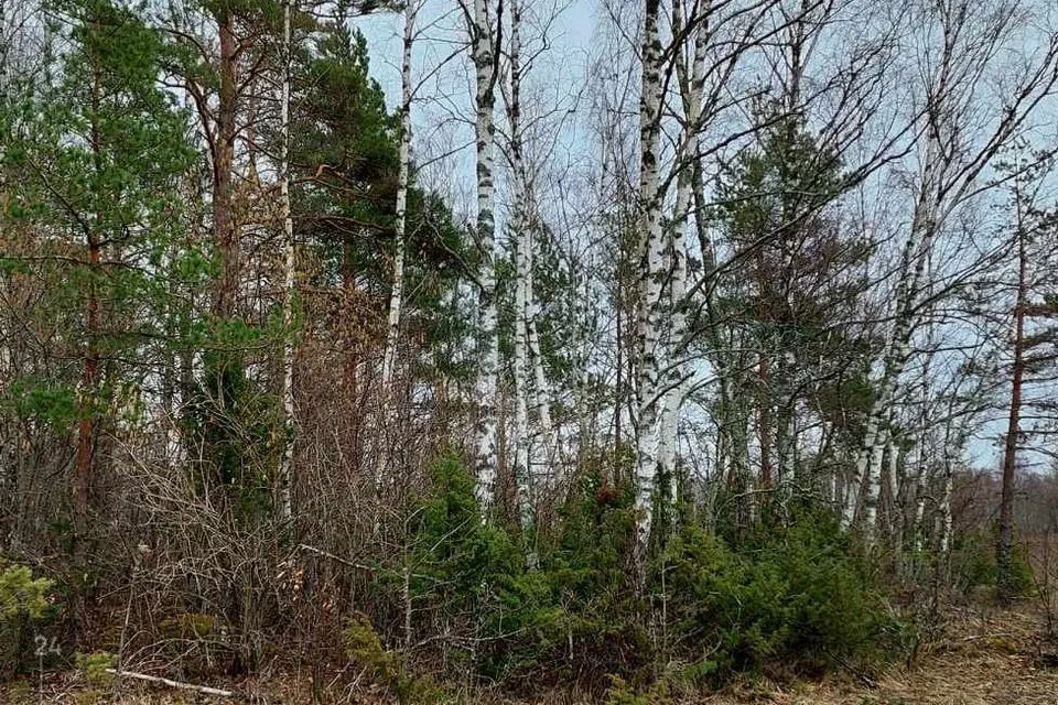 Земля жилой застройки, 16636 m² участок в Haapsalu linn, Pusku küla - фото 2