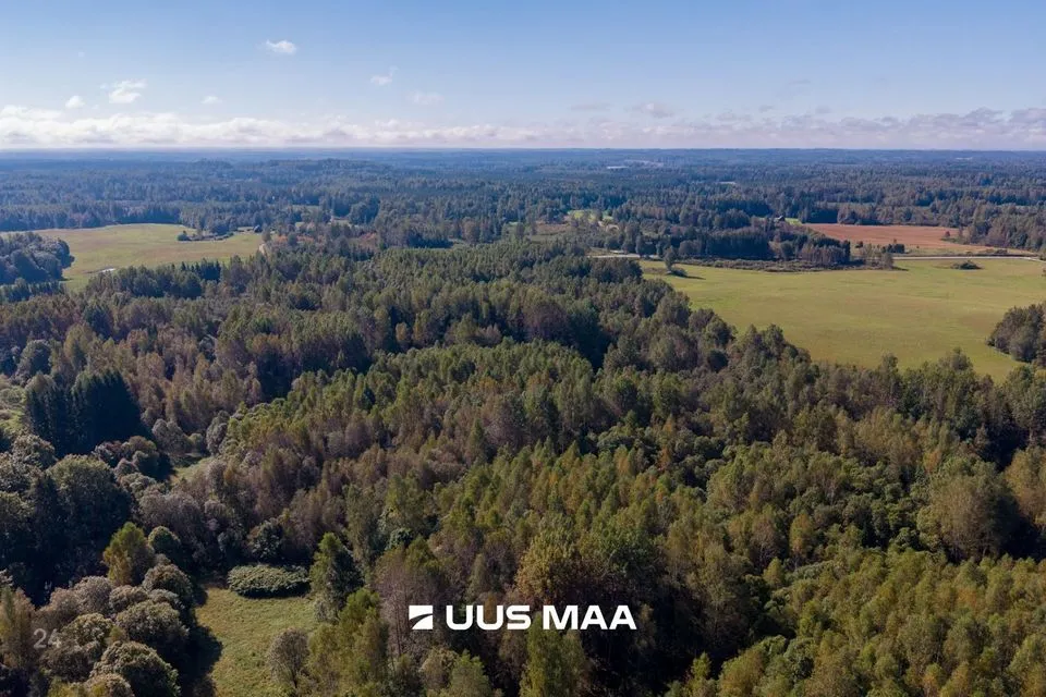 Maatulundusmaa, 338219 m² Maa - Kanepi vald, Karste küla - foto 4