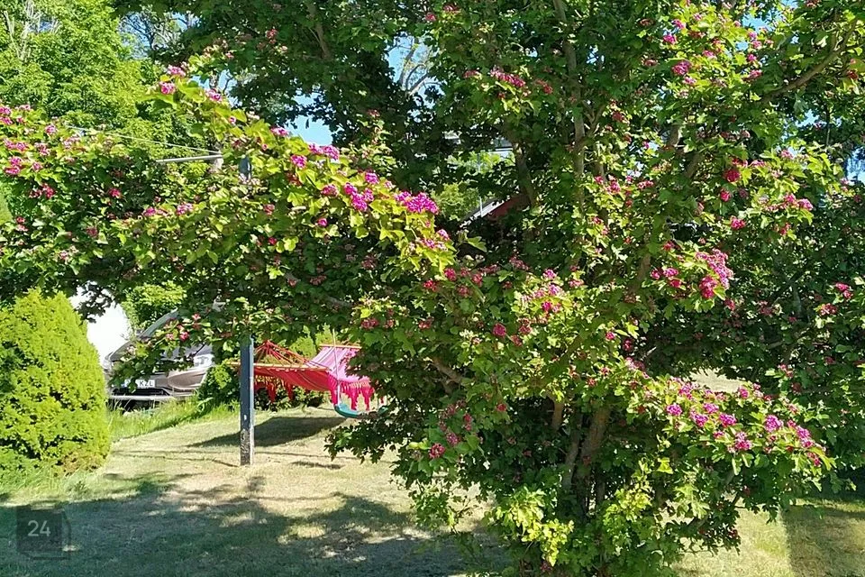 Maatulundusmaa, 10426 m² Maa - Harku vald, Suurupi küla - foto 4