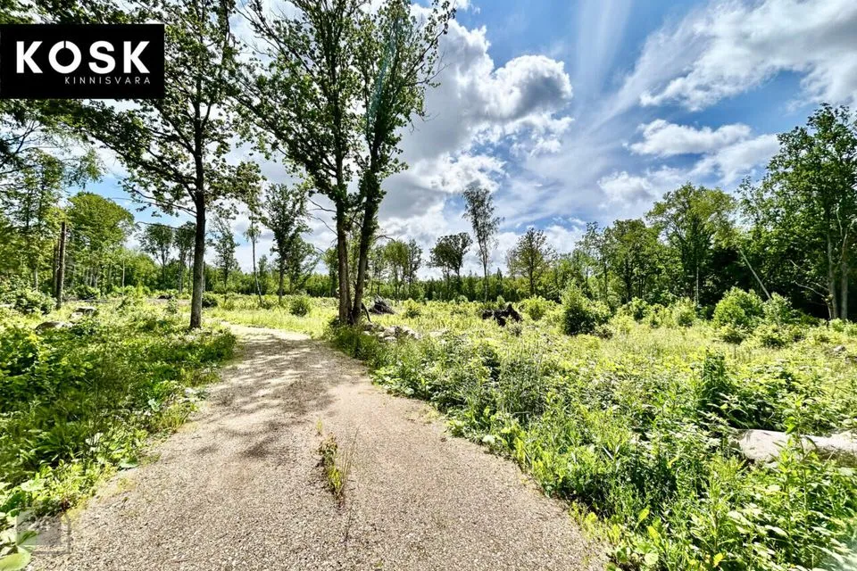 Maatulundusmaa, 20458 m² Maa - Lääneranna vald, Rädi küla - foto 2