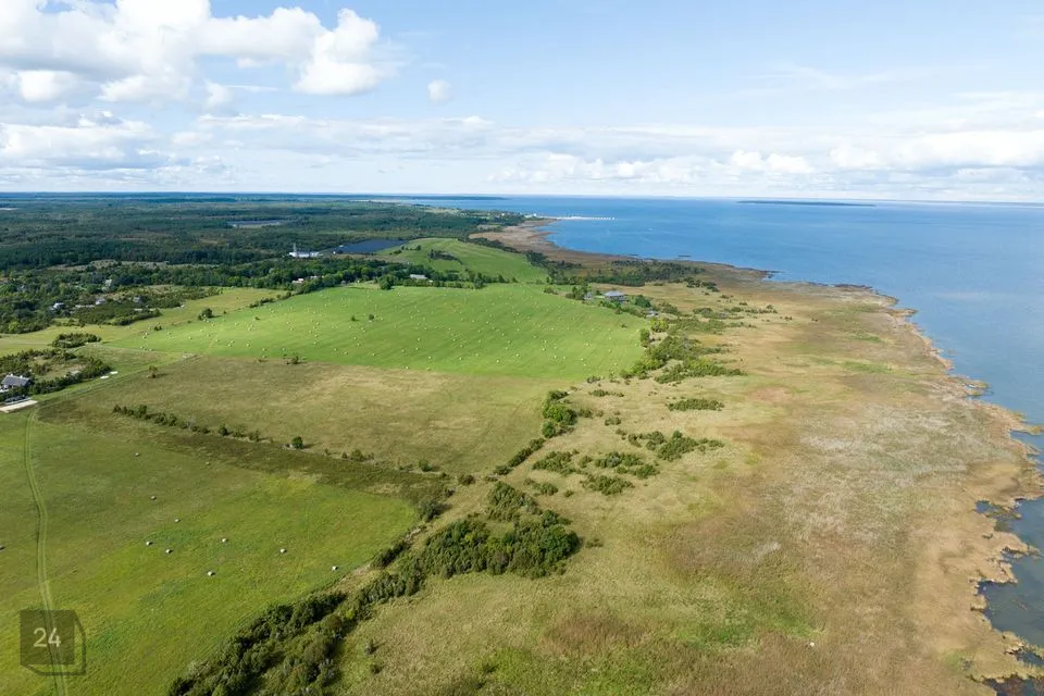 Maatulundusmaa, 69329 m² Maa - Muhu vald, Võiküla - foto 4