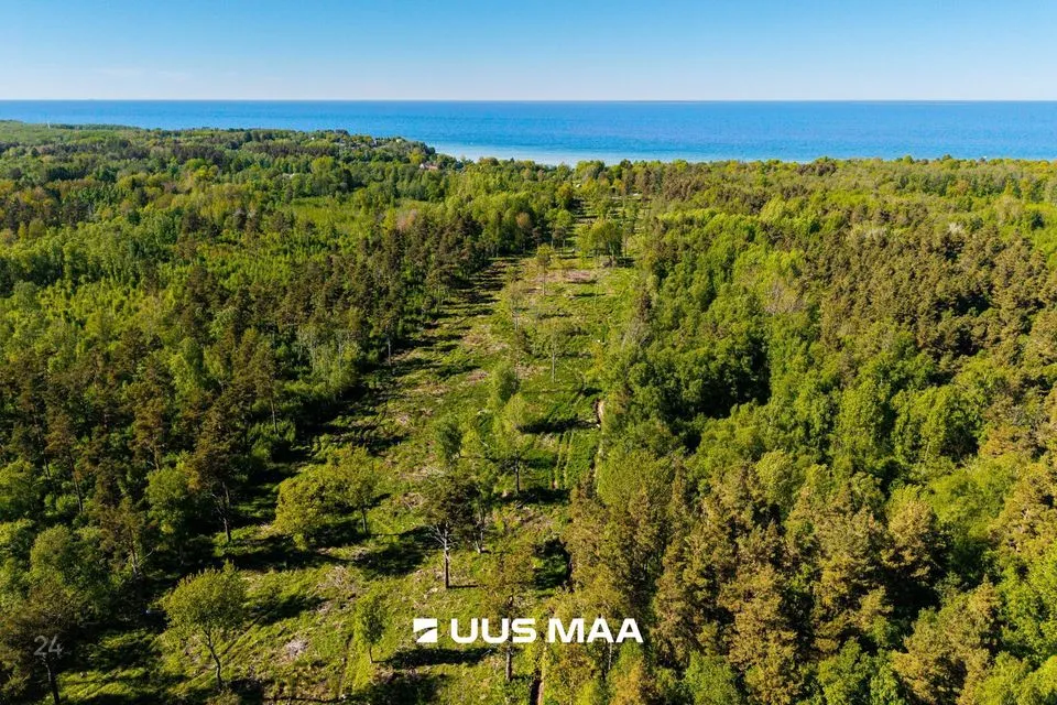 Земля жилой застройки, 8085 m² участок в Jõelähtme vald, Ülgase küla - фото 2