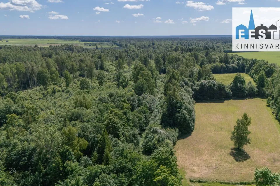 Maatulundusmaa, 214654 m² Maa - Põhja-Pärnumaa vald, Tõrdu küla - foto 3