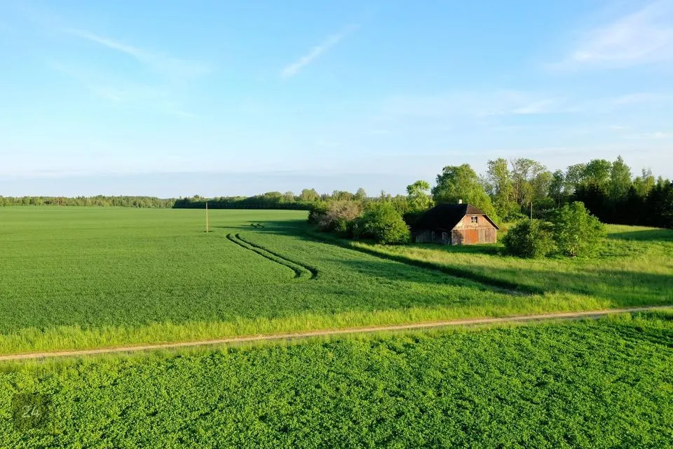 4774 m² Maa - Viljandi vald, Savikoti küla - foto 4