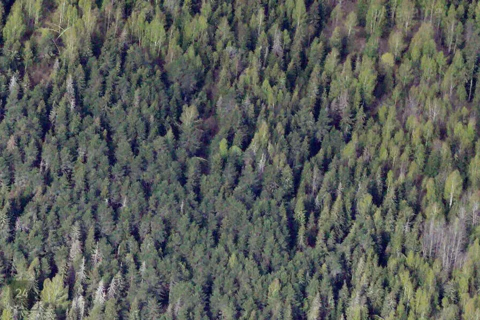 Maatulundusmaa, 100712 m² Maa  -  Rapla vald, Hagudi küla - foto 3
