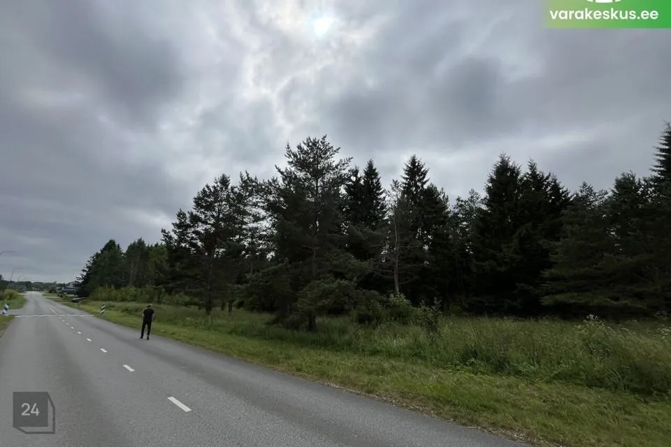 Maatulundusmaa, 54042 m² Maa - Saku vald, Tänassilma küla - foto 2
