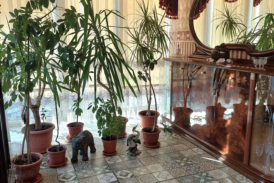 4-toaline Maja  -  Jõelähtme vald, Iru küla - foto 2