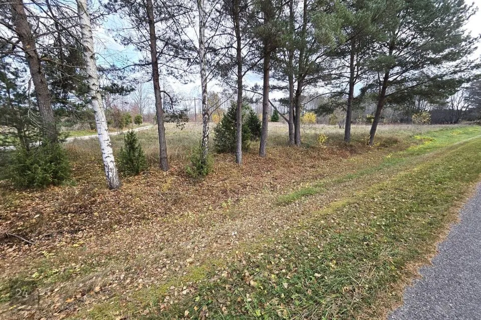 Земля жилой застройки, 17247 m² участок в Lääne-Nigula vald, Elbiku küla / Ölbäck - фото 4