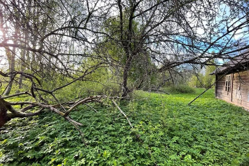 1-комнатная дом в Viljandi vald, Valma küla - фото 3