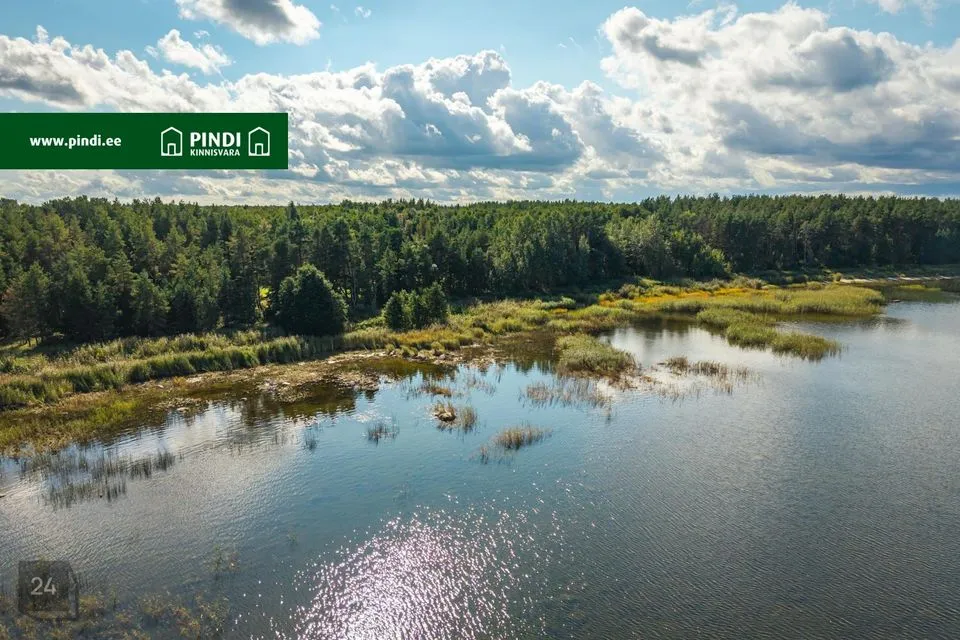 Maatulundusmaa, 9613 m² Maa  -  Viru-Nigula vald, Letipea küla - foto 5