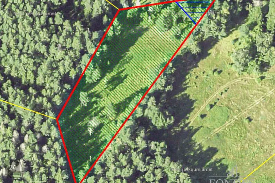 Maatulundusmaa, 5355 m² Maa - Kuusalu vald, Virve küla