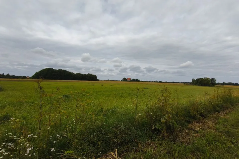 Elamumaa, 18391 m² Maa  -  Jõelähtme vald, Saha küla - foto 5