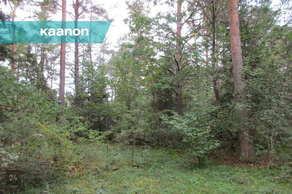 23498 m² Maa - Lääne-Harju vald, Lehola küla - foto 5