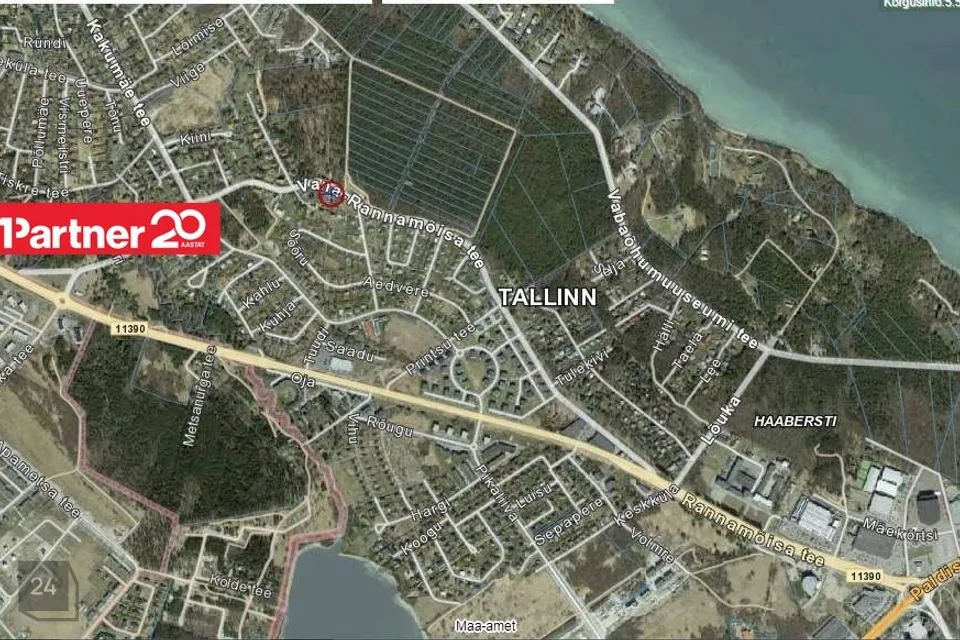 Kaubandus, 500 m² Äripind  -  Tallinn, Haabersti linnaosa - foto 4