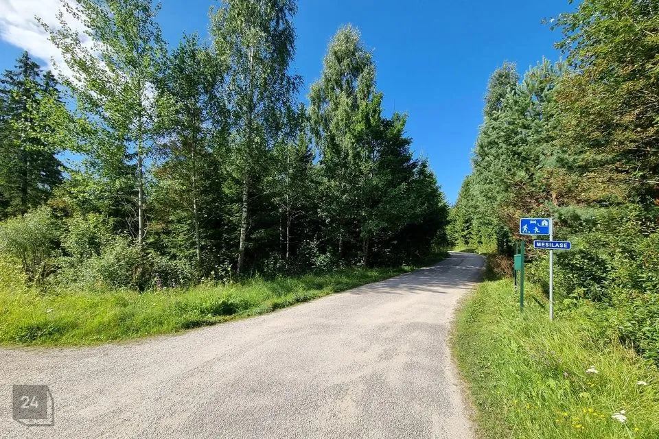 16097 m² Maa  -  Jõgeva vald, Vana-Jõgeva küla