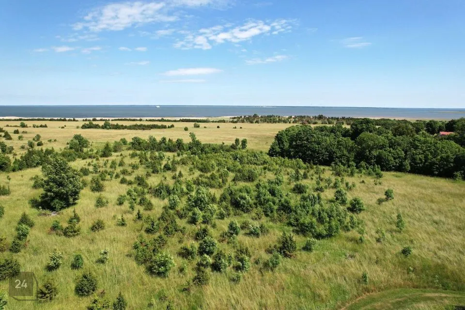 Elamumaa, 11775 m² Maa - Muhu vald, Võiküla - foto 2
