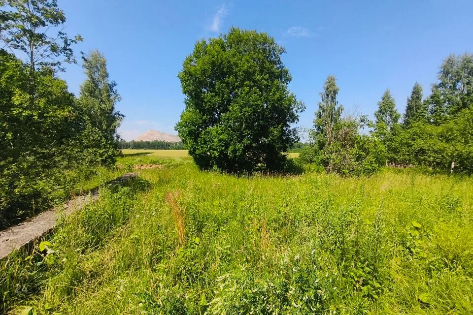 Sihtotstarbeta maa, 8700 m² Maa  -  Lüganuse vald, Irvala küla - foto 4