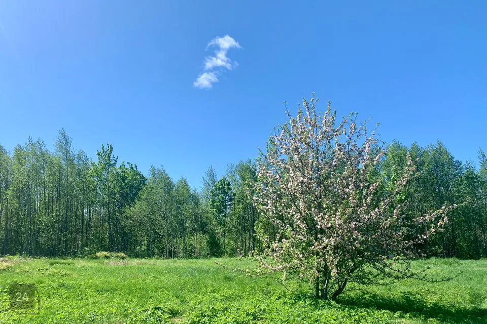 Земля жилой застройки, 6626 m² участок в Lääne-Nigula vald, Nõmmemaa küla - фото 3