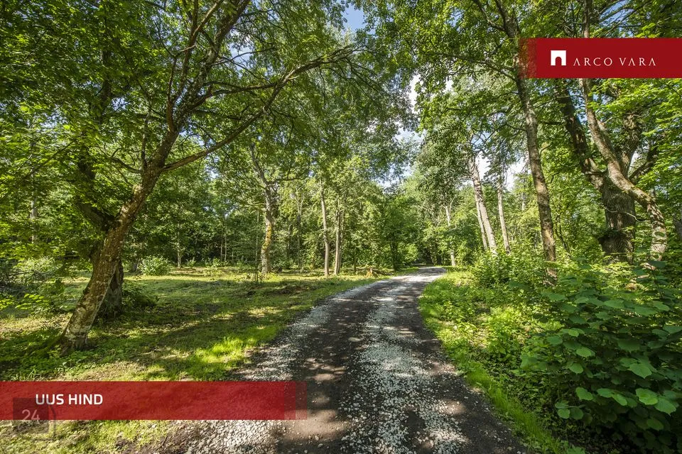 Maatulundusmaa, 23569 m² Maa  -  Jõelähtme vald, Saviranna küla - foto 4