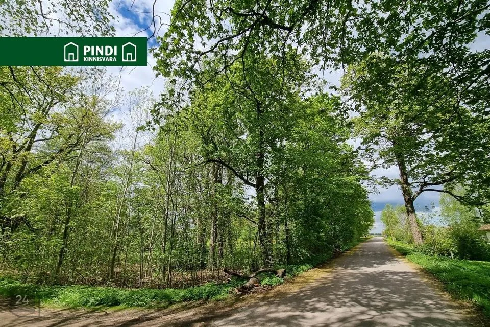 Unspecified land, 4523 m² land in Väike-Maarja vald, Pandivere küla - photo 3