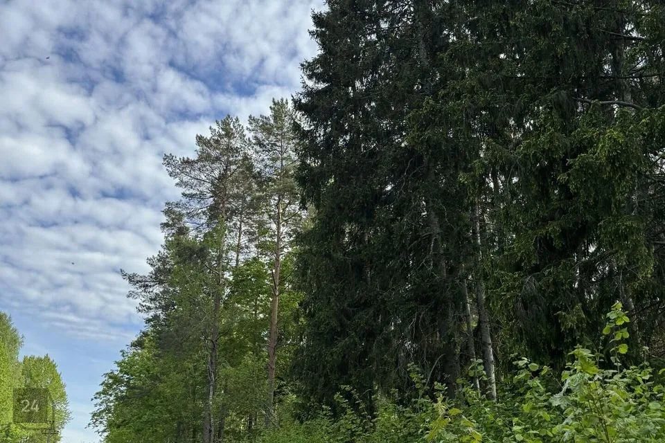 Земля жилой застройки, 10562 m² участок в Lääne-Nigula vald, Kadarpiku küla - фото 2