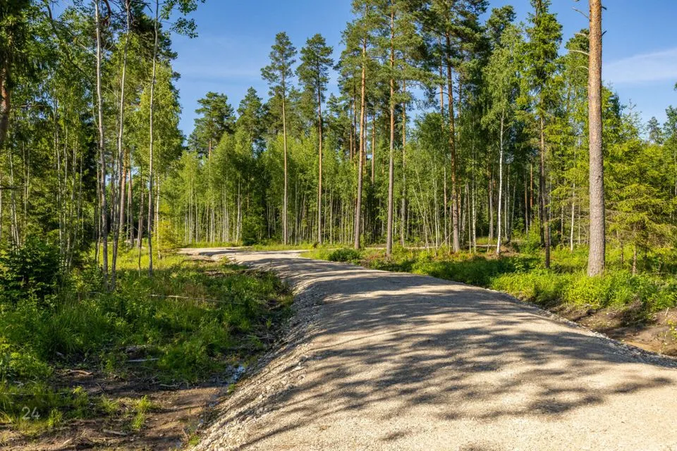 Elamumaa, 12019 m² Maa  -  Kose vald, Tuhala küla - foto 4