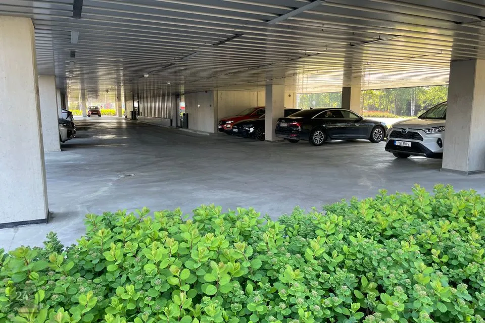 Büroo, 228 m² Äripind  -  Tallinn, Haabersti linnaosa - foto 5