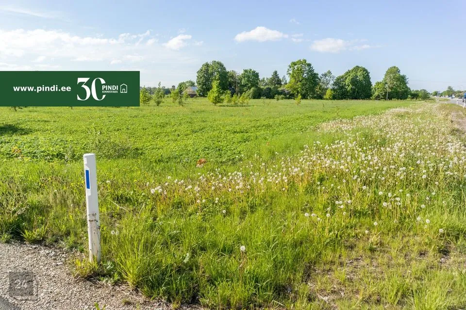 Maatulundusmaa, 21532 m² Maa  -  Kohtla-Järve linn, Ahtme linnaosa - foto 4