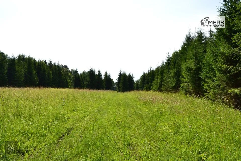 Maatulundusmaa, 25051 m² Maa - Kose vald, Lutsu küla - foto 4