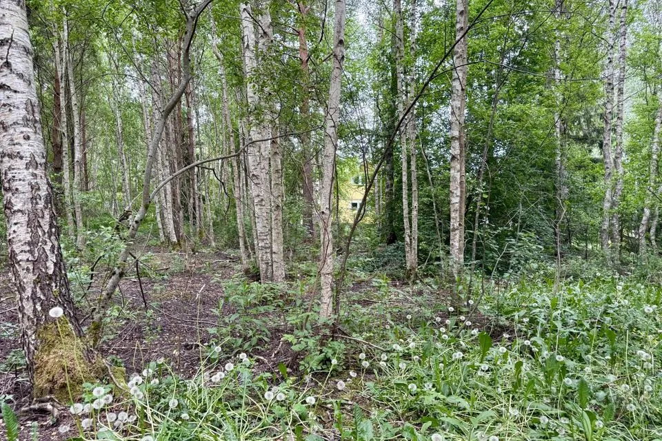 Земля жилой застройки, 1701 m² участок в Saue vald, Kibuna küla - фото 3