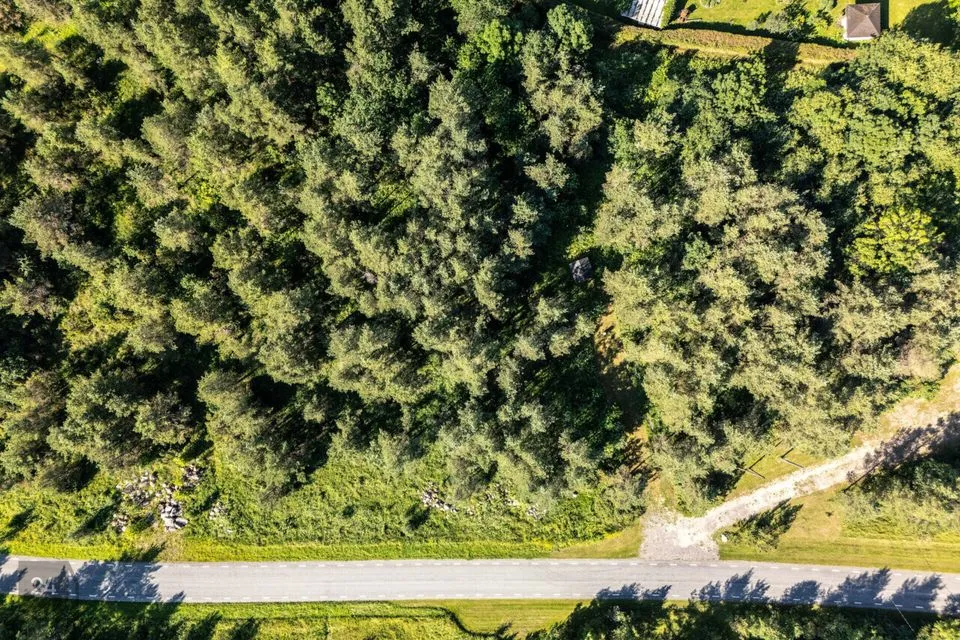 Elamumaa, 6073 m² Maa - Saku vald, Saue küla - foto 5
