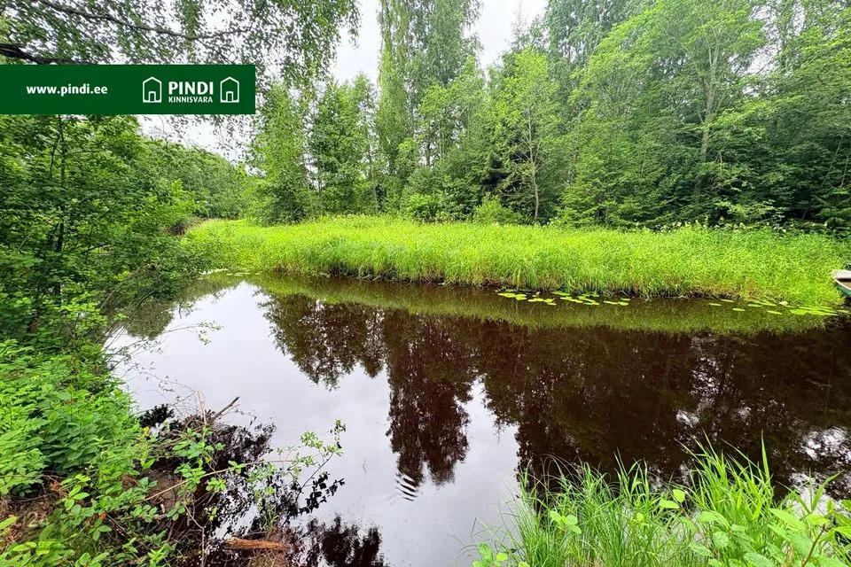 Elamumaa, 1535 m² Maa - Alutaguse vald, Alajõe küla - foto 3