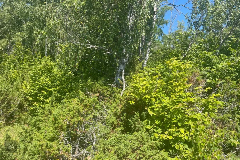 Земля жилой застройки, 2274 m² участок в Haapsalu linn, Pusku küla - фото 2
