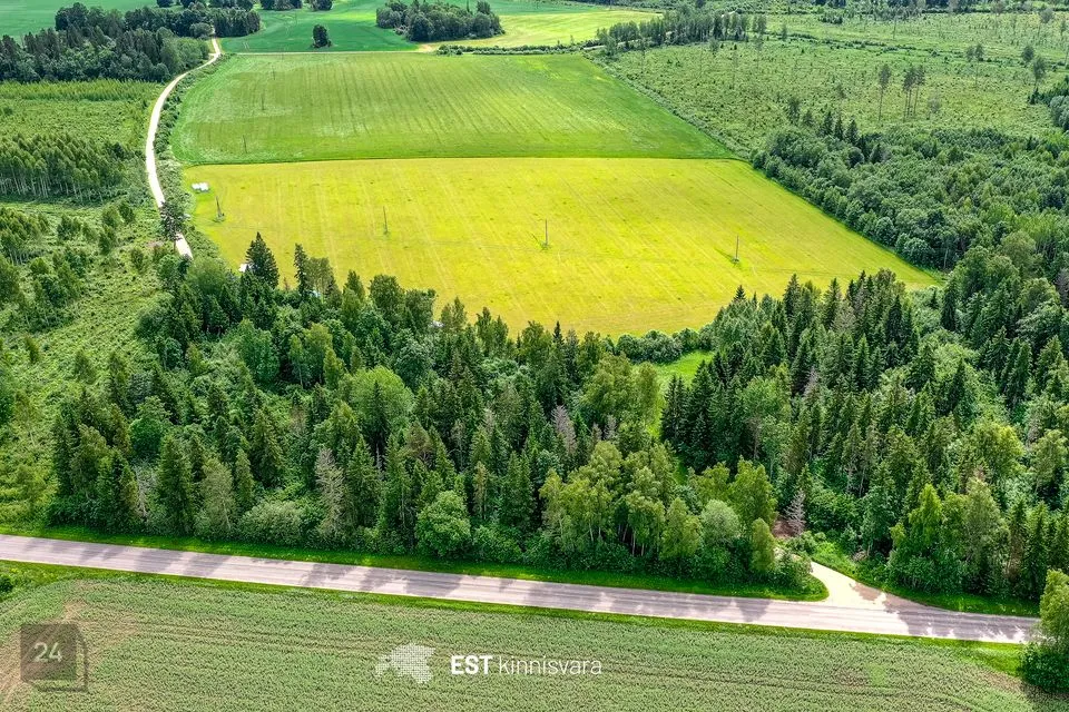 Maatulundusmaa, 9112 m² Maa - Kehtna vald, Pae küla - foto 2