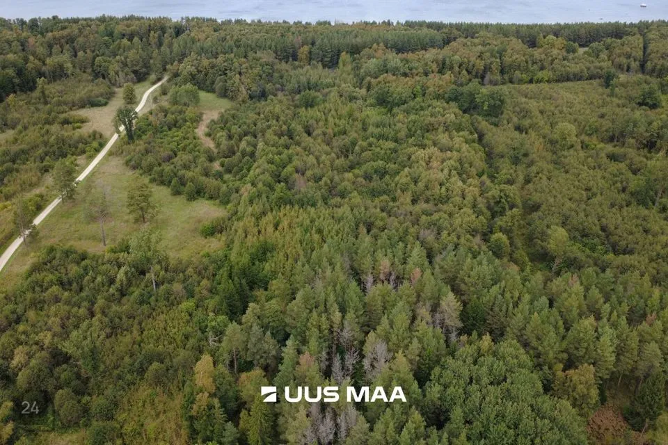 Maatulundusmaa, 69113 m² Maa  -  Viru-Nigula vald, Letipea küla - foto 2