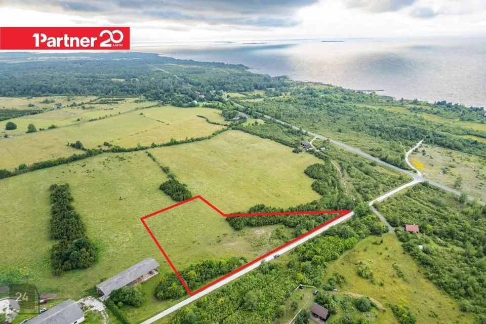 Maatulundusmaa, 10279 m² Maa  -  Muhu vald, Kallaste küla - foto 2