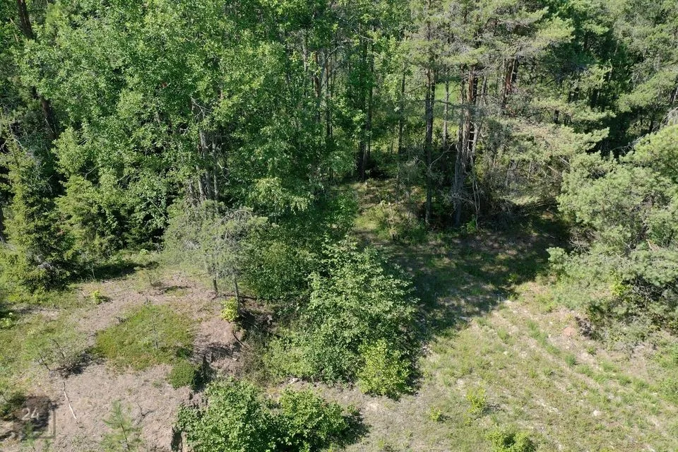 Maatulundusmaa, 19881 m² Maa  -  Saaremaa vald, Liiva-Putla küla - foto 5