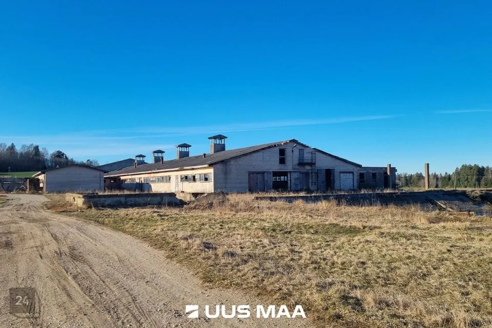 Земля производственного назначения, 21192 m² участок в Vinni vald, Aasuvälja küla - фото 2