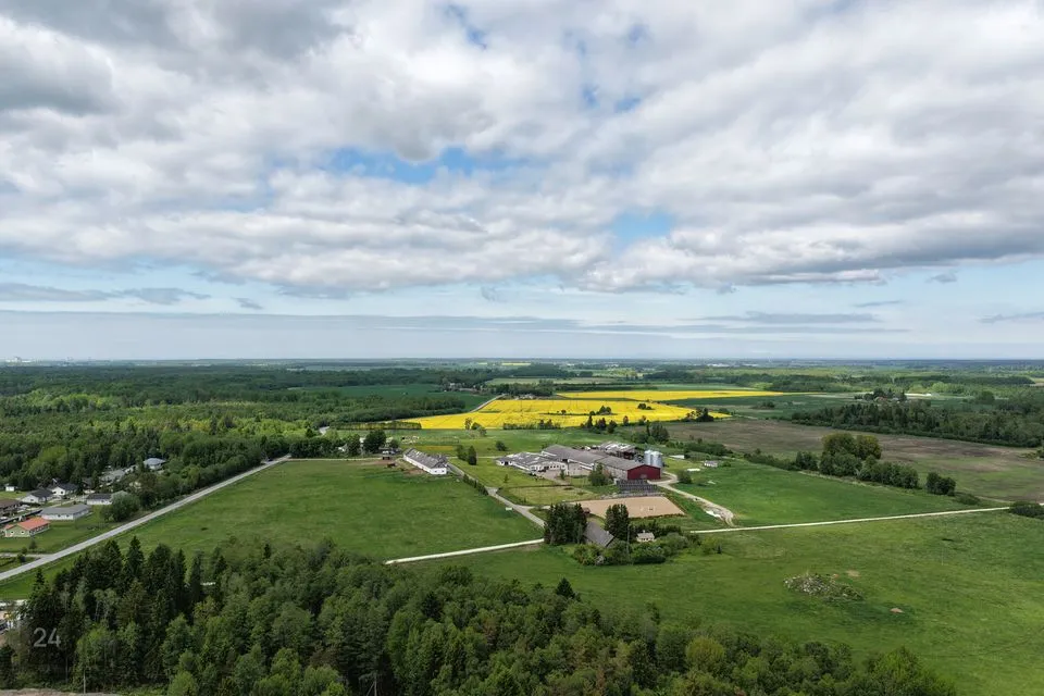 Земля жилой застройки, 1236 m² участок в Raasiku vald, Aruküla alevik - фото 4