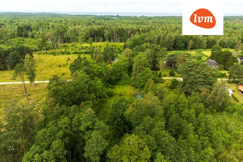 Elamumaa, 6557 m² Maa  -  Saaremaa vald, Torgu-Mõisaküla