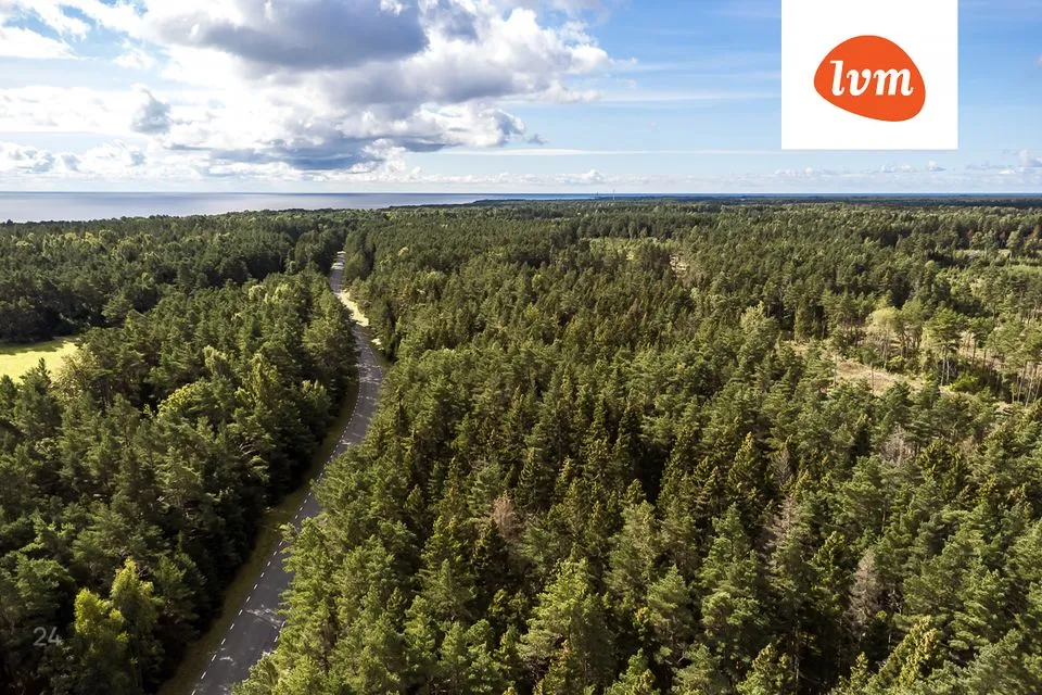 Maatulundusmaa, 16189 m² Maa  -  Saaremaa vald, Mäebe - foto 2