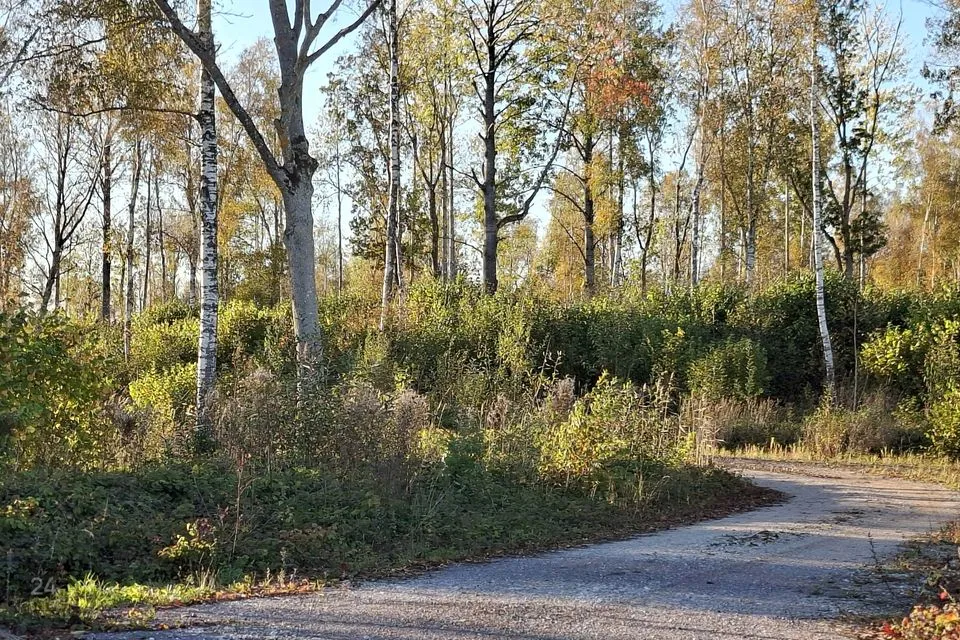 Elamumaa, 9940 m² Maa  -  Lääne-Nigula vald, Österby küla - foto 3