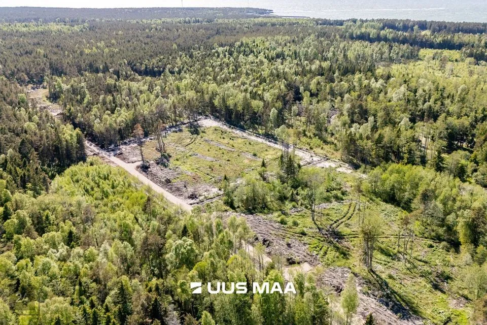 Maatulundusmaa, 5100 m² Maa  -  Lääne-Nigula vald, Spithami küla / Spithamn - foto 4