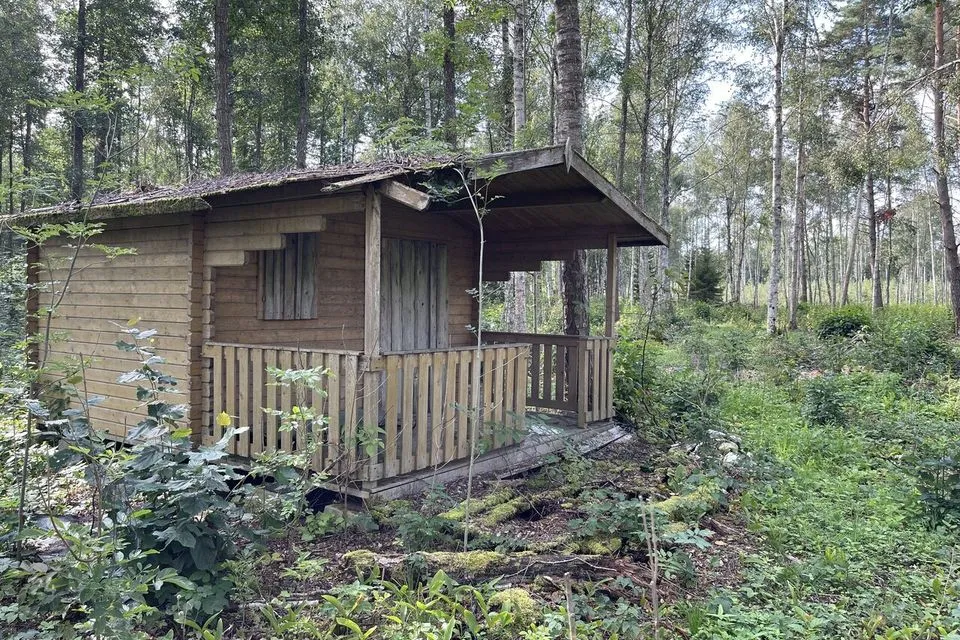 Maatulundusmaa, 15003 m² Maa - Saaremaa vald, Laugu küla - foto 4