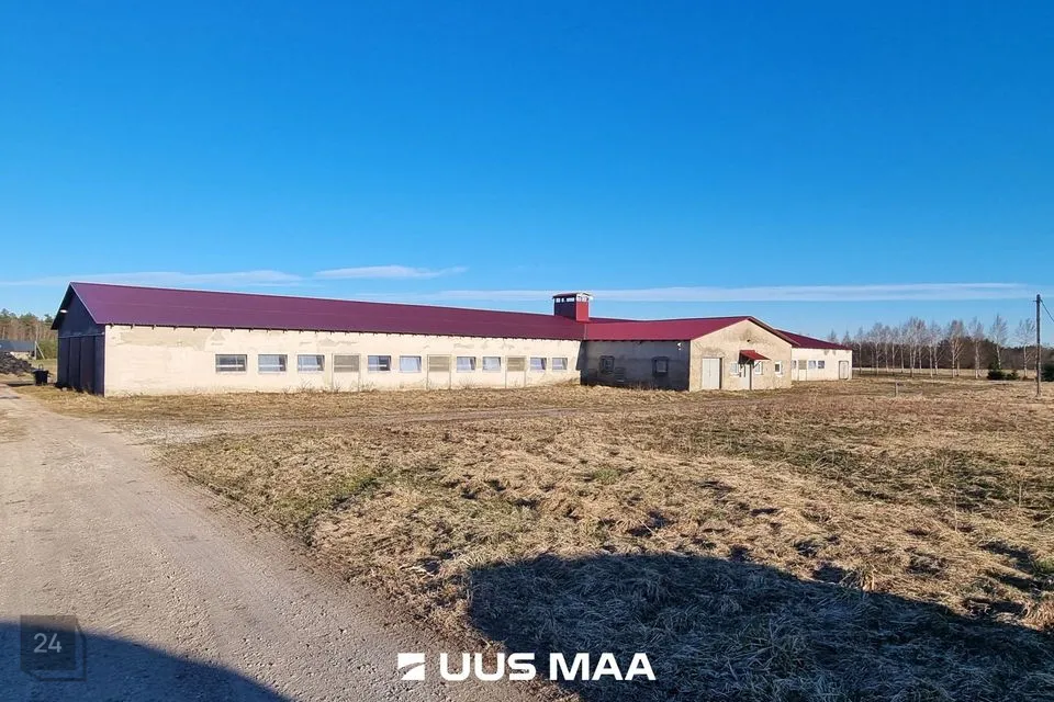 1350 m² Äripind - Vinni vald, Miila küla - foto 2
